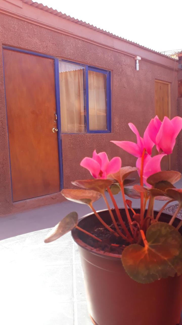 Hostal Open House San Pedro de Atacama Kültér fotó